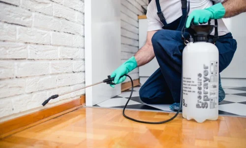 9-essential-tools-for-your-pest-control-company_800x