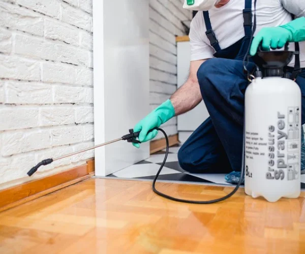 9-essential-tools-for-your-pest-control-company_800x